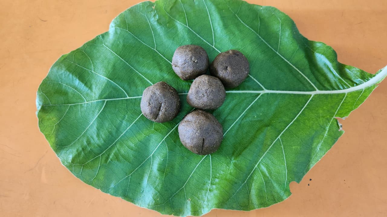 world-food-day-celebration-sri-ambal-vidhyalaya-school